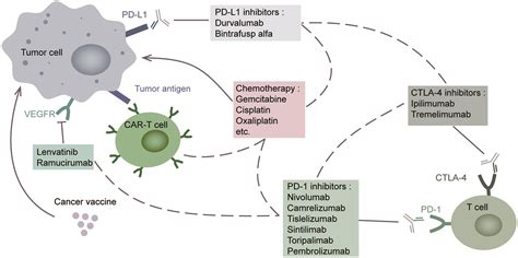 Combination Therapies For Advanced Biliary Tract Cancer