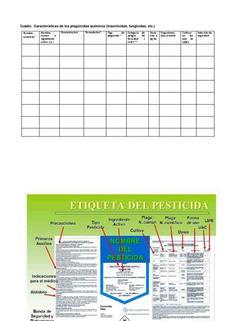 Los Diferentes Tipos De Plaguicidas Químicos Una Guía De Sus Nombres