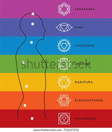 Chakra System Human Body Chart Seven Stock Vector Royalty Free