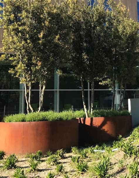 Cortenstaal Plantenbak Rond Zonder Bodem Cortenstaaltuin