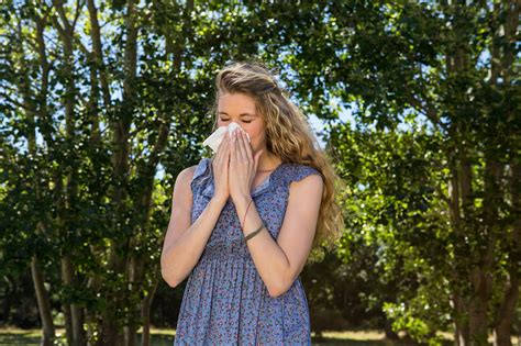 Erk Ltung Oder Allergie Wie Erkenne Ich Einen Heuschnupfen Innere Stadt