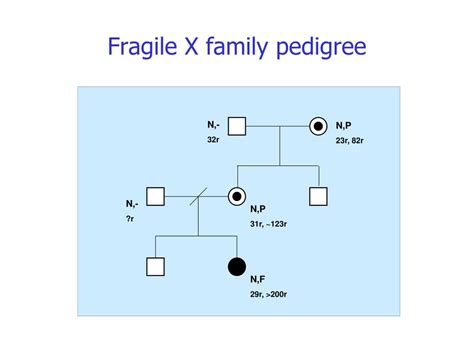 Ppt Fragile X Syndrome Clinical Powerpoint Presentation Free