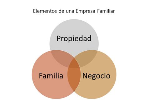 Administraci N Pymes Y Empresas Familiares La Empresa Familiar