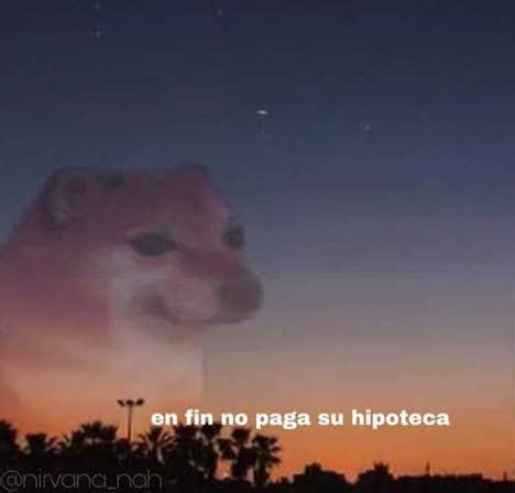 meme perro en fin no paga su hipoteca en fin la hipocresía