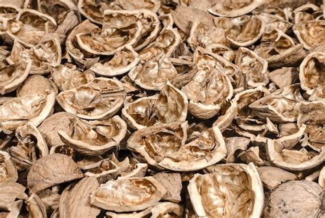 Premium Photo Background Of Broken Walnut Shells Close Up