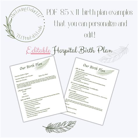 Hospital Birth Plan, Birth Preferences, EDITABLE PDF, Birth Plan ...