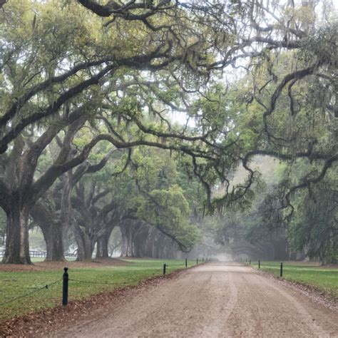 The History of Hampton Plantation State Historic Site | Coastal ...