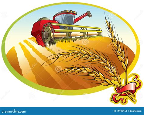 Harvesting Machine and Wheat Ears Stock Vector - Illustration of floral, agriculture: 14108161