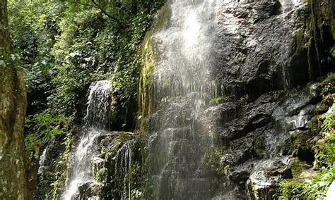 Melgar Colombia 2023 Best Places To Visit Tripadvisor