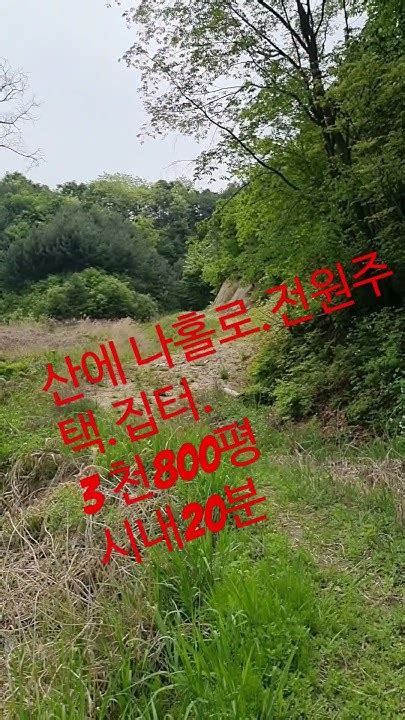 산에 나홀로 집짓기전원주택집터준보전산지생산관리임야 3710평면사무소2분시내20분거리산에 단독주택1채 짓고산 정상의