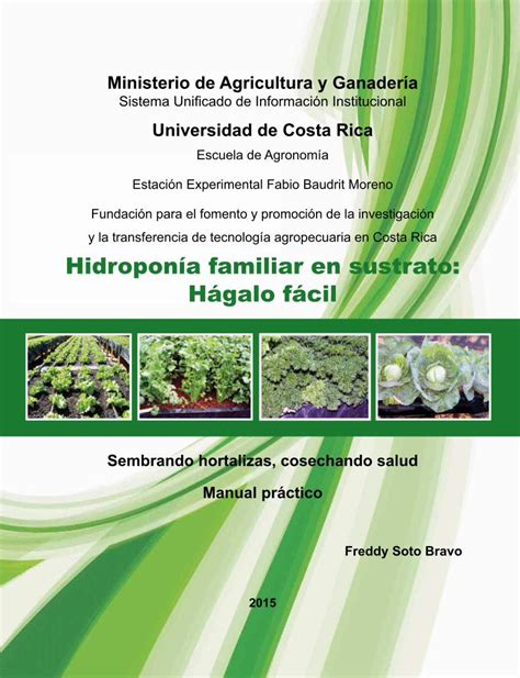 PDF Hidroponía familiar en sustrato Hágalo fácil DOKUMEN TIPS