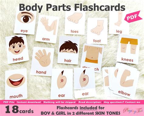 Body Parts Printable Flashcards - Printable Online