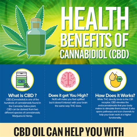 Infographic Healthy Benefits Of CBD Oil InfographicBee