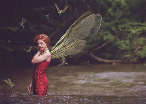 fairy wings pixie wings overlays premium etsy