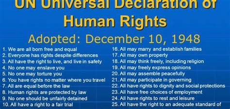 The Universal Declaration of Human Rights at 70: Time to De-Colonize ...