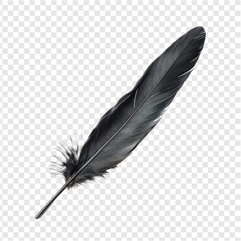 Premium Psd Floated Black Feather Isolate On Transparency Background Psd