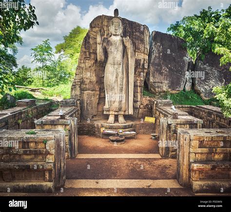 Avukana Buddha Statue Near Kekirawa Sri Lanka Stock Photo Alamy