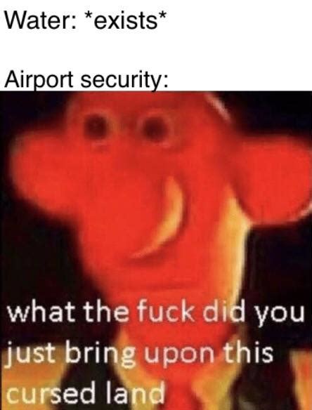 Airport Security Gay R Dankmemes