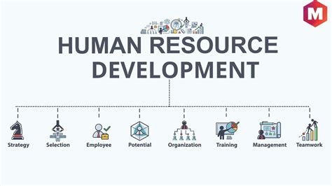 Human Resource Development Or Hrd Marketing91