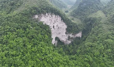 Cientistas Descobrem Antiga Floresta Dentro De Buraco Gigante Na China