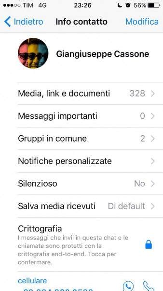 Ultimo Aggiornamento WhatsApp Privacy O Pura Fantasy