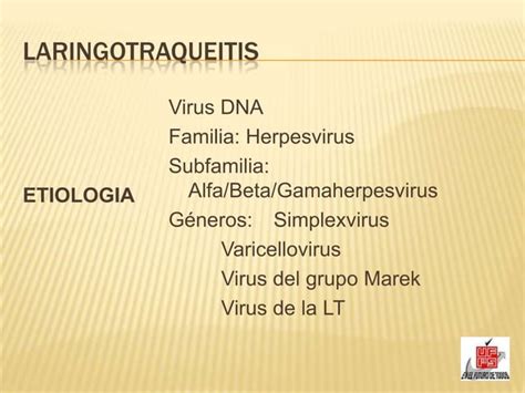 Laringotraqueitis Infecciosa Aviar Ppt