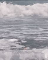 All Sizes All Sexy Oops 2 Sex Gifs Porn XXX GIFs 4010182 PICTOA