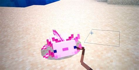 Come Addomesticare Un Axolotl Su Minecraft Salvatore Aranzulla