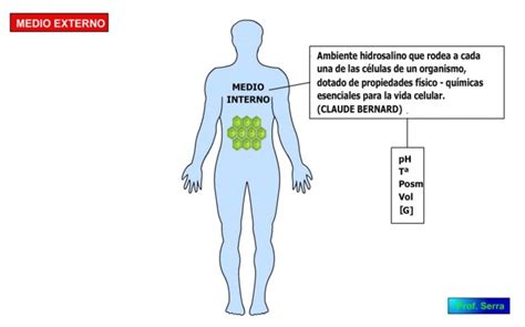 Medio Interno WebFisio