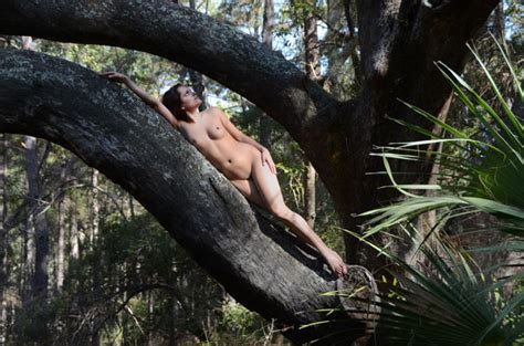 Naked Chicks In Trees Exposed For The Shadows