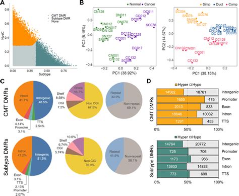 Identification Of Differentially Methylated Regions DMRs Among The