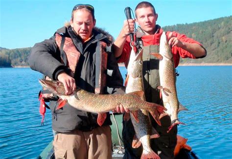 Рыбалка на Красноярском море (водохранилище): какую рыбу можно поймать