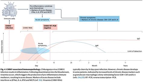 Medclub On Twitter Infectolog A Medicinainterna Inmunopatolog A Y