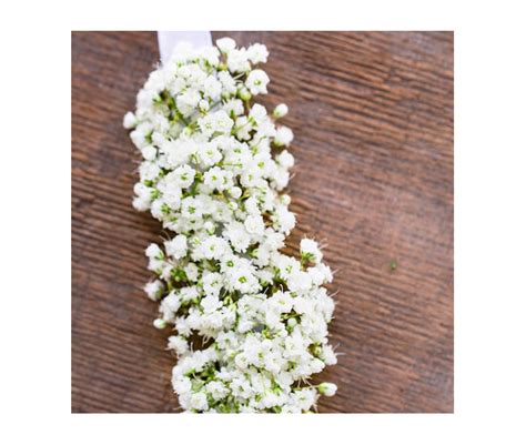 Bracelet Gypsophile Lola Fleurs Mariage