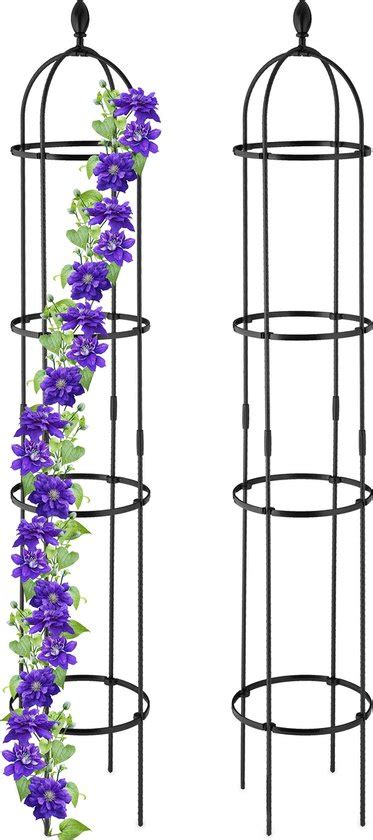 Relaxdays Plantensteun Klimplanten Set Van 2 190 Cm Hoge