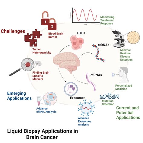 Liquid Biopsy Applications In Brain Cancer Biorender Science Templates