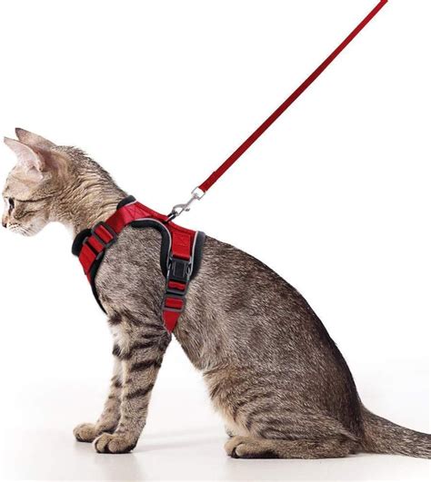 Rabbitgoo Cat Harness And Leash For Walking Escape Proof Soft