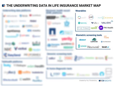 Tech Market Map Report Underwriting Data In Life Insurance Cb