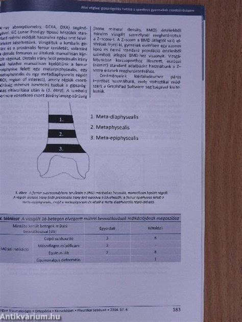 Dr Schl Gl D M Magyar Traumatol Gia Ortop Dia K Zseb Szet