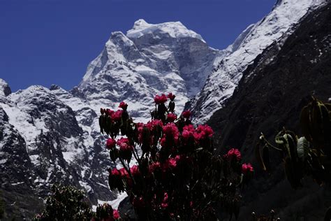 Baza Mount Everest Trekking Do Bazy Pod Everestem