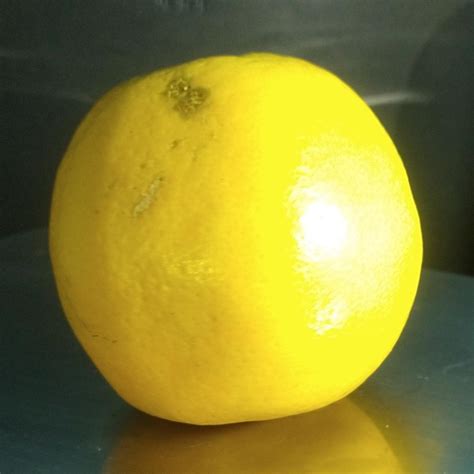 Quality Citrus Classification Classification Dataset and Pre-Trained ...