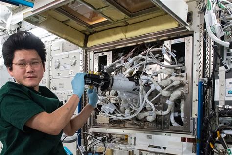 Experiment Payloads For Kibos Pm Jaxa Human Spaceflight Technology