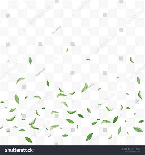 Green Greens Flying Vector Transparent Background Stock Vector Royalty