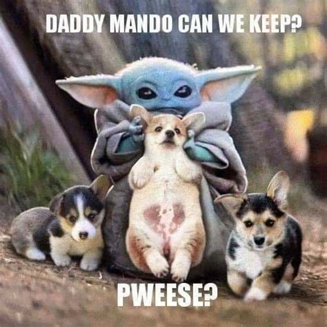 Pin By Brandy Head On Baby Yoda Yoda Meme Star Wars Memes Star Wars