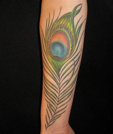 Lovely Feather Peacock Tattoo On Arm