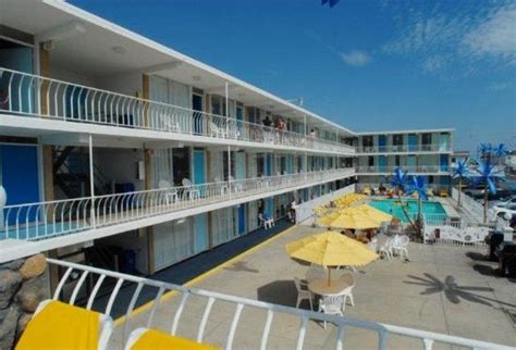 Blue Palms - UPDATED 2017 Prices & Motel Reviews (Wildwood, NJ
