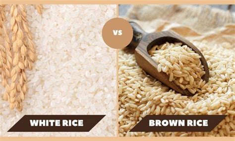 Brown Rice Vs White Rice Nutrition Health Benefits And Cooking