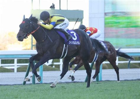 【朝日杯fs】売上は153億円超、前年比104とアップ 競馬ニュース Netkeiba