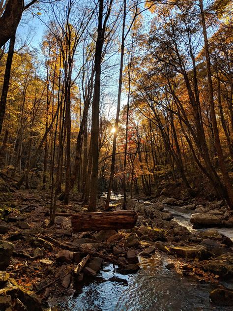 Cascades Trail, Jefferson National Forest, VA. [4032×3024], [OC]. : r