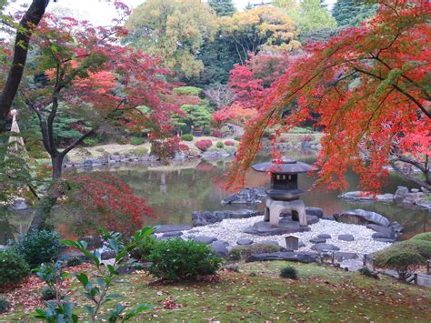 ついに紅葉最盛期！旧古河庭園「紅葉とバラ、和と洋の秋」11月12日（土）～12月4日（日）開催中！｜公益財団法人 東京都公園協会のプレスリリース